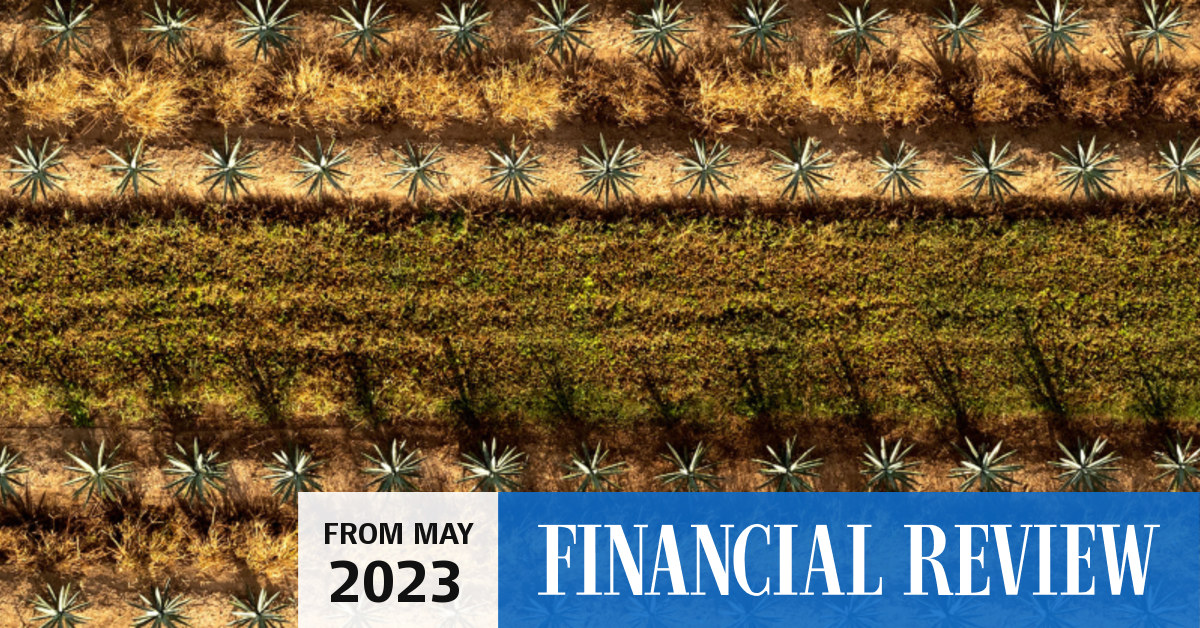 Top Shelf International Holdings in 40m recap, Salter Brothers in